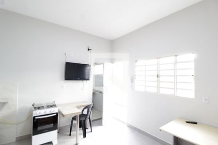 Cozinha de kitnet/studio para alugar com 1 quarto, 22m² em Martins, Uberlândia