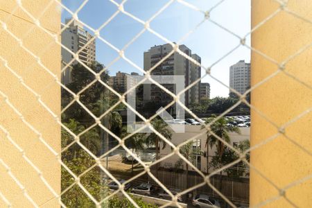 Vista da Varanda da Sala de apartamento para alugar com 2 quartos, 51m² em Paraisópolis, São Paulo