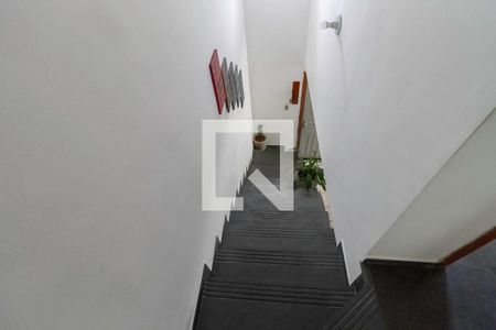 Escada de casa de condomínio para alugar com 2 quartos, 84m² em Castelo, Belo Horizonte