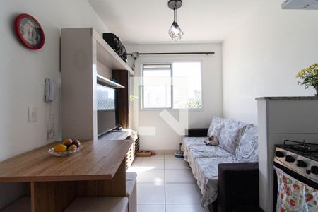 Sala, cozinha e área de serviço de apartamento para alugar com 1 quarto, 27m² em Cambuci, São Paulo