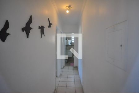 Corredor de apartamento para alugar com 2 quartos, 59m² em Vila Sonia do Taboao, Taboão da Serra