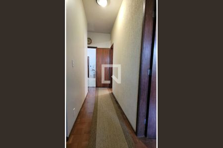 corredor de apartamento à venda com 4 quartos, 166m² em Santo Antônio, Belo Horizonte