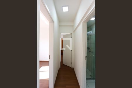 corredor de apartamento para alugar com 2 quartos, 43m² em Vila Andrade, São Paulo