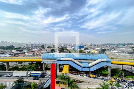 Vista da Varanda de apartamento para alugar com 2 quartos, 69m² em Ipiranga, São Paulo