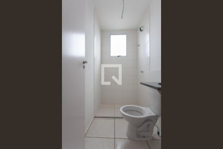 Banheiro da Suíte de apartamento para alugar com 2 quartos, 48m² em Jardim Guanabara, Belo Horizonte