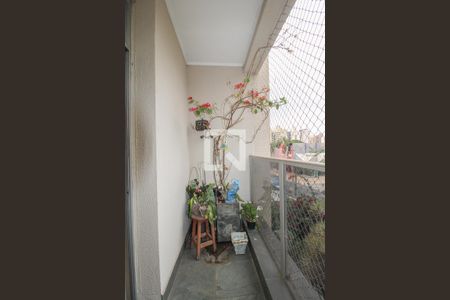 Sacada de apartamento à venda com 3 quartos, 108m² em Cambuí, Campinas