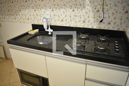 Cozinha - Armários de kitnet/studio para alugar com 1 quarto, 26m² em Setor Habitacional Vicente Pires, Brasília