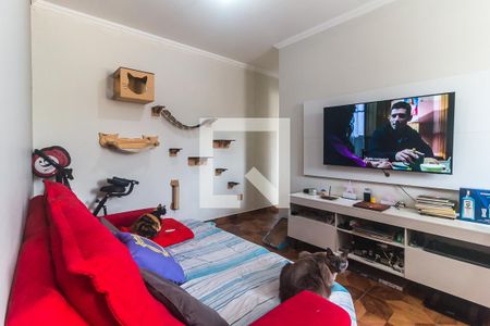 Sala de apartamento para alugar com 2 quartos, 51m² em Jardim Débora, Poá