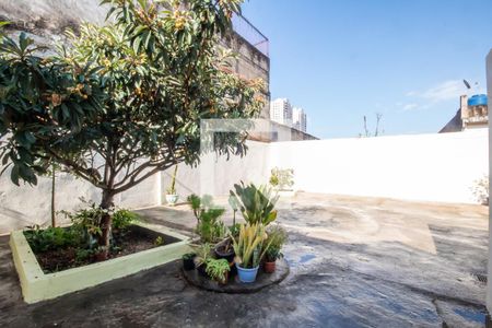 Casa para alugar com 275m², 2 quartos e 1 vaga Casa para alugar com 275m², 2 quartos e 1 vagaQuintal