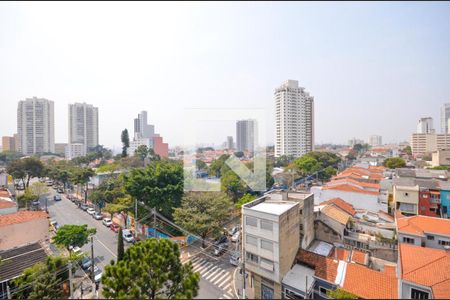 Apartamento à venda com 3 quartos, 95m² em Cambuci, São Paulo