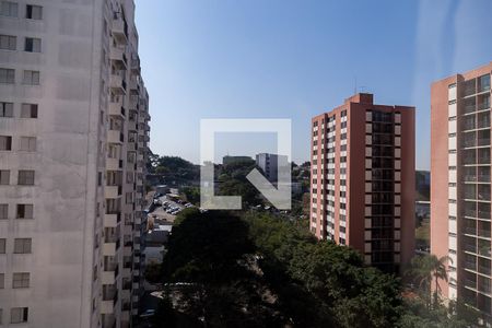 Vista do Quarto 1 de apartamento para alugar com 2 quartos, 51m² em Vila Parque Jabaquara, São Paulo