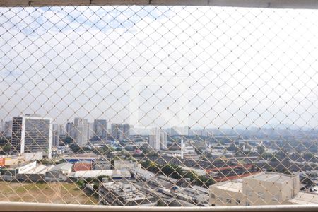 Vista da Varanda com Churrasqueira de apartamento à venda com 2 quartos, 70m² em Várzea da Barra Funda, São Paulo