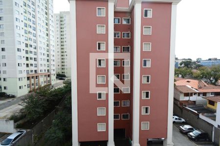 Vista da Suíte de apartamento para alugar com 3 quartos, 74m² em Jardim Ubirajara (zona Sul), São Paulo