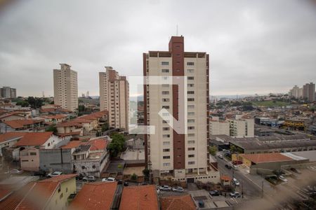 Vista Varanda da Sala de apartamento para alugar com 2 quartos, 49m² em Piqueri, São Paulo