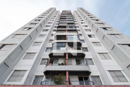 Apartamento à venda com 3 quartos, 77m² em Vila Lais, São Paulo