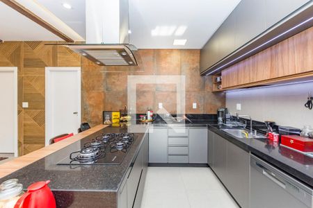 Cozinha 1 de casa à venda com 5 quartos, 471m² em Santa Lúcia, Belo Horizonte