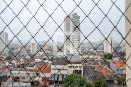 Apartamento à venda com 2 quartos, 65m² em Vila Brasilio Machado, São Paulo