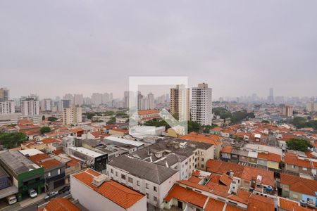 Vista de apartamento para alugar com 1 quarto, 25m² em Vila Cláudia, São Paulo