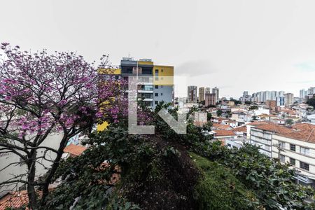 Vista de kitnet/studio para alugar com 1 quarto, 35m² em Jardim São Paulo(zona Norte), São Paulo