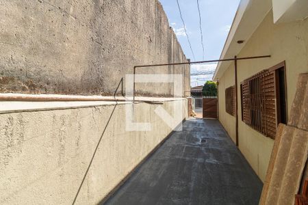 Corredor - Para cômodos dos Fundos de casa para alugar com 1 quarto, 60m² em Ipiranga, Ribeirão Preto