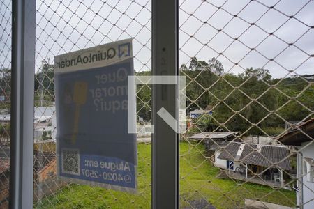 Suíte - Vista de apartamento para alugar com 2 quartos, 72m² em Itacorubi, Florianópolis