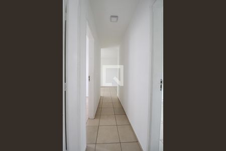 Corredor de apartamento para alugar com 3 quartos, 66m² em Mansões Santo Antônio, Campinas