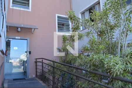 Fachada de apartamento à venda com 2 quartos, 45m² em Chacaras Reunidas Santa Terezinha, Contagem