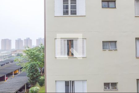 Vista do Quarto Suíte de apartamento para alugar com 2 quartos, 88m² em Demarchi, São Bernardo do Campo