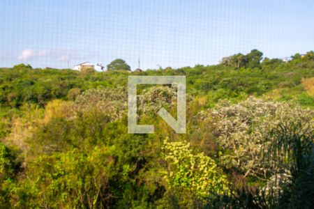 Vista do quarto 1  de apartamento para alugar com 2 quartos, 50m² em Vila Nova, Porto Alegre