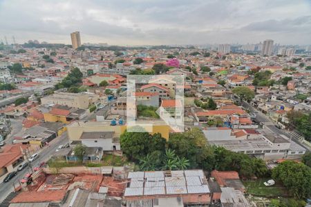 Vista de apartamento para alugar com 2 quartos, 70m² em Vila Mangalot, São Paulo