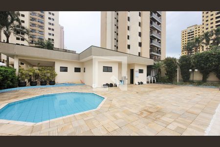 Área comum - Piscina de apartamento para alugar com 3 quartos, 70m² em Chácara Primavera, Campinas