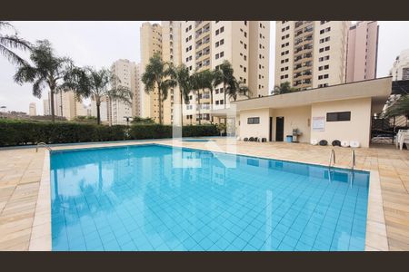 Área comum - Piscina de apartamento para alugar com 3 quartos, 70m² em Chácara Primavera, Campinas