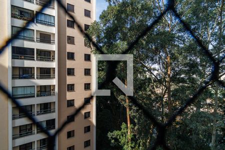 Vista da Suíte de apartamento para alugar com 3 quartos, 75m² em Jardim Bontempo, Taboão da Serra