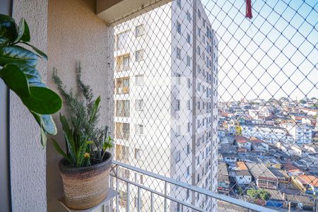 Sacada de apartamento à venda com 3 quartos, 60m² em Vila Constança, São Paulo