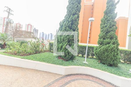 Apartamento à venda com 117m², 3 quartos e 3 vagas Apartamento à venda com 117m², 3 quartos e 3 vagasÁrea comum