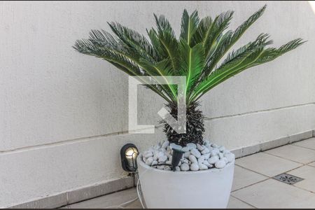 Apartamento para alugar com 160m², 4 quartos e 2 vagas Apartamento para alugar com 160m², 4 quartos e 2 vagasTerraço - Palmeira Sagu