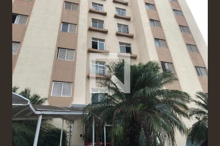 Apartamento à venda com 3 quartos, 97m² em Cambuí, Campinas