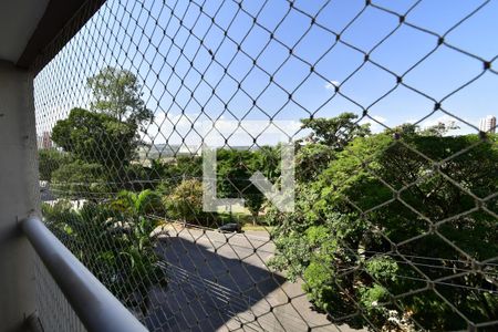 Sala - Vista de apartamento à venda com 3 quartos, 77m² em Jardim Flamboyant, Campinas