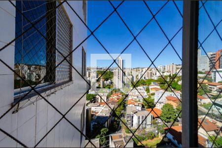 Vista de apartamento à venda com 4 quartos, 160m² em Luxemburgo, Belo Horizonte