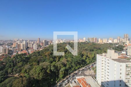 Sala de apartamento à venda com 3 quartos, 114m² em Bosque, Campinas