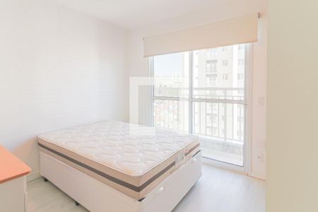 Quarto / Cozinha de apartamento para alugar com 1 quarto, 26m² em Vila Butantã, São Paulo