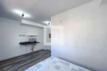 Sala/Quarto de kitnet/studio para alugar com 1 quarto, 21m² em Belenzinho, São Paulo