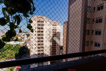 Vista da Varanda da Sala de apartamento para alugar com 3 quartos, 69m² em Vila Camilópolis, Santo André