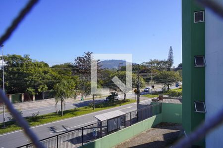 Sala - Vista de apartamento para alugar com 2 quartos, 73m² em Itacorubi, Florianópolis