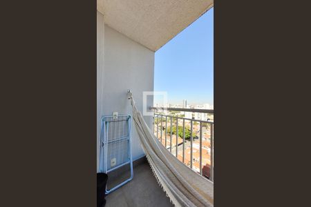 Varanda da Sala de apartamento para alugar com 2 quartos, 55m² em Taquaral, Campinas