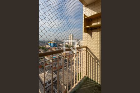 Varanda de apartamento para alugar com 3 quartos, 60m² em Cambuci, São Paulo