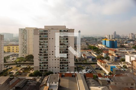 Vista da Varanda de apartamento para alugar com 3 quartos, 60m² em Cambuci, São Paulo