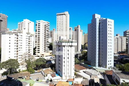 Sala - Vista  de apartamento à venda com 2 quartos, 72m² em Lourdes, Belo Horizonte