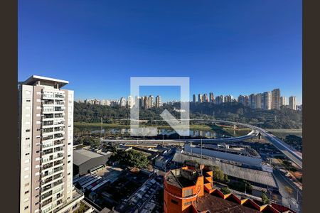 Vista Sala de apartamento para alugar com 1 quarto, 27m² em Jardim Caravelas, São Paulo