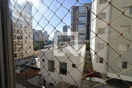 Sala - Vista de apartamento para alugar com 3 quartos, 124m² em Cambuí, Campinas